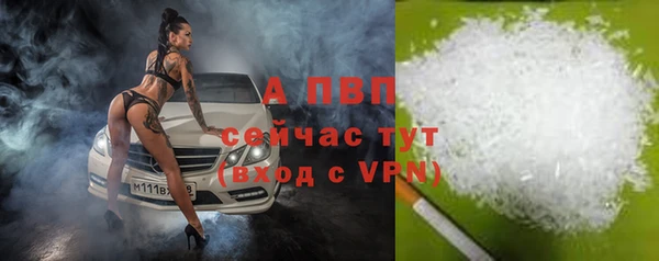 ECSTASY Богородицк