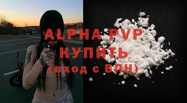 СК Инсар
