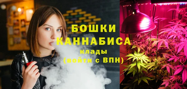 ECSTASY Богородицк
