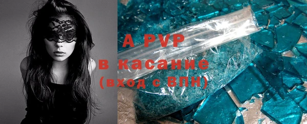 ECSTASY Богородицк
