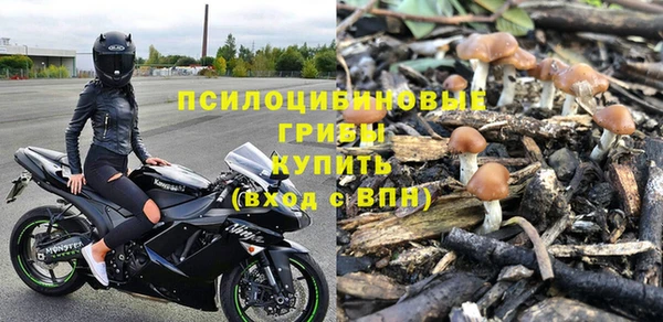 СК Инсар