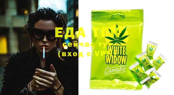 ECSTASY Богородицк