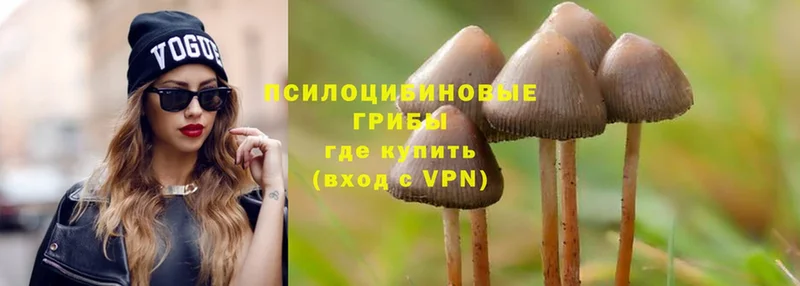 kraken вход  Нальчик  Псилоцибиновые грибы GOLDEN TEACHER 