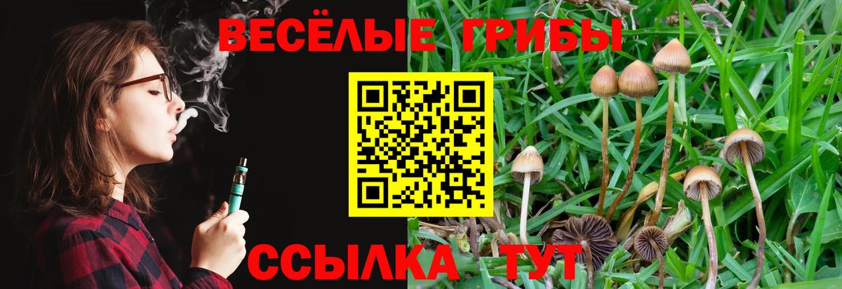 Псилоцибиновые грибы прущие грибы Нальчик