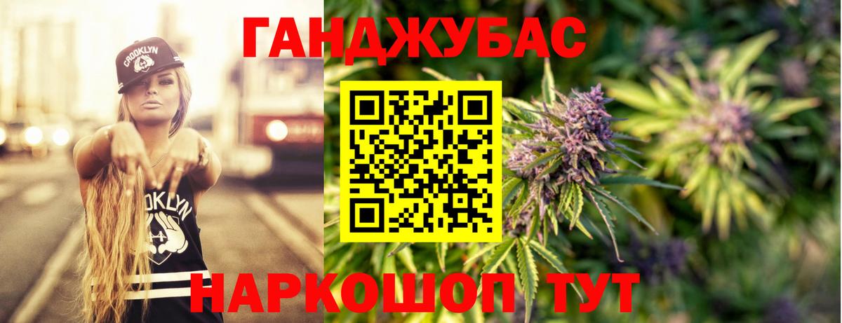 Марихуана сатива Нальчик